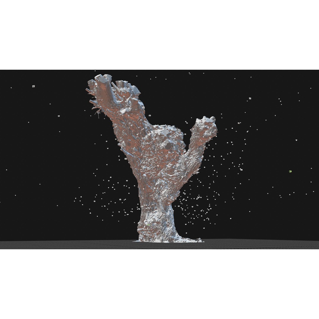 Old Willow 3D Model – Photogrammetry Tree Asset, FBX & Blender - View 8