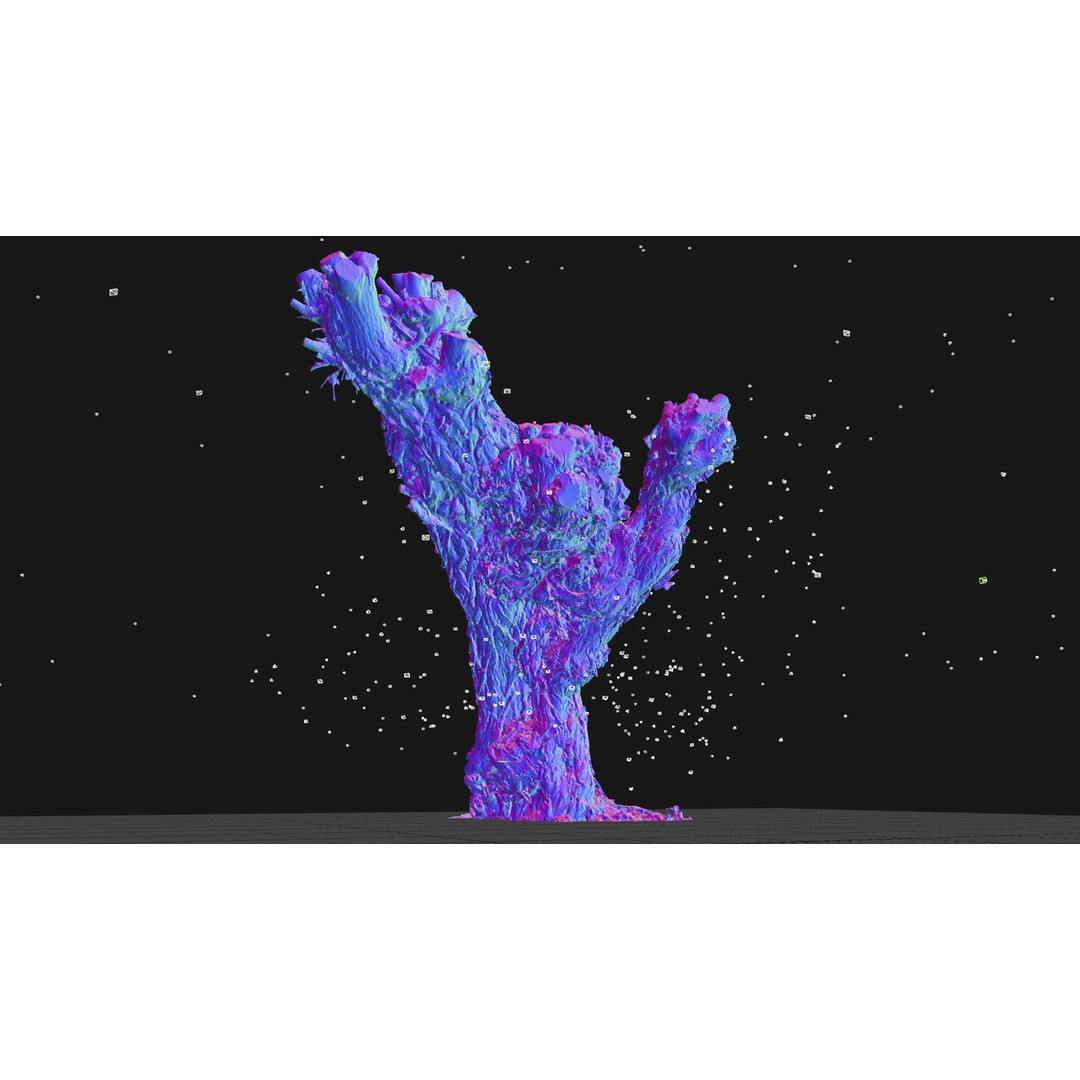 Old Willow 3D Model – Photogrammetry Tree Asset, FBX & Blender - View 9