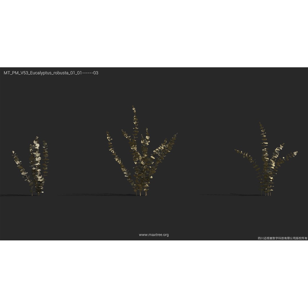 Dried Flower 3D Model – High Poly Collection, FBX, Blender, Max - View 20