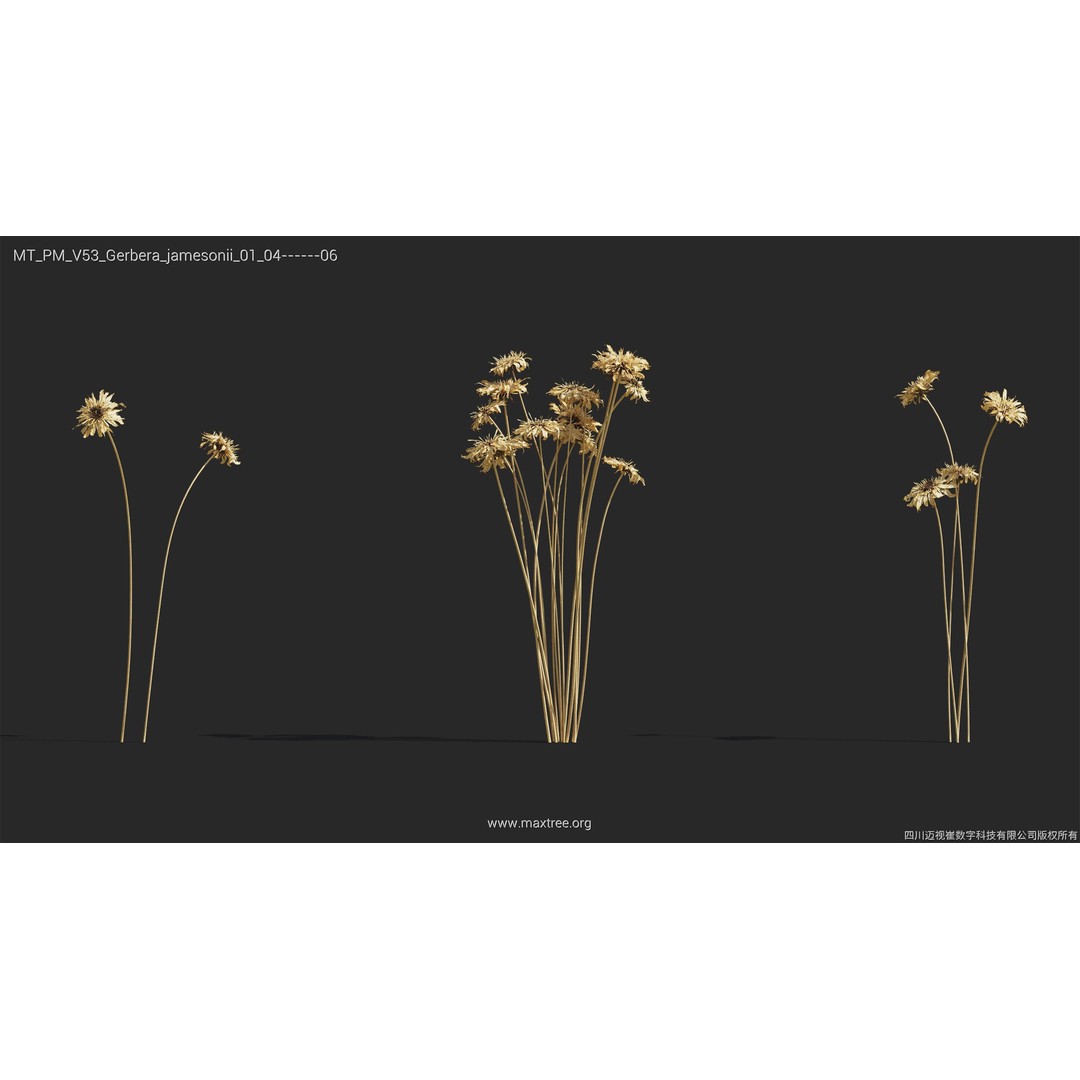 Dried Flower 3D Model – High Poly Collection, FBX, Blender, Max - View 23