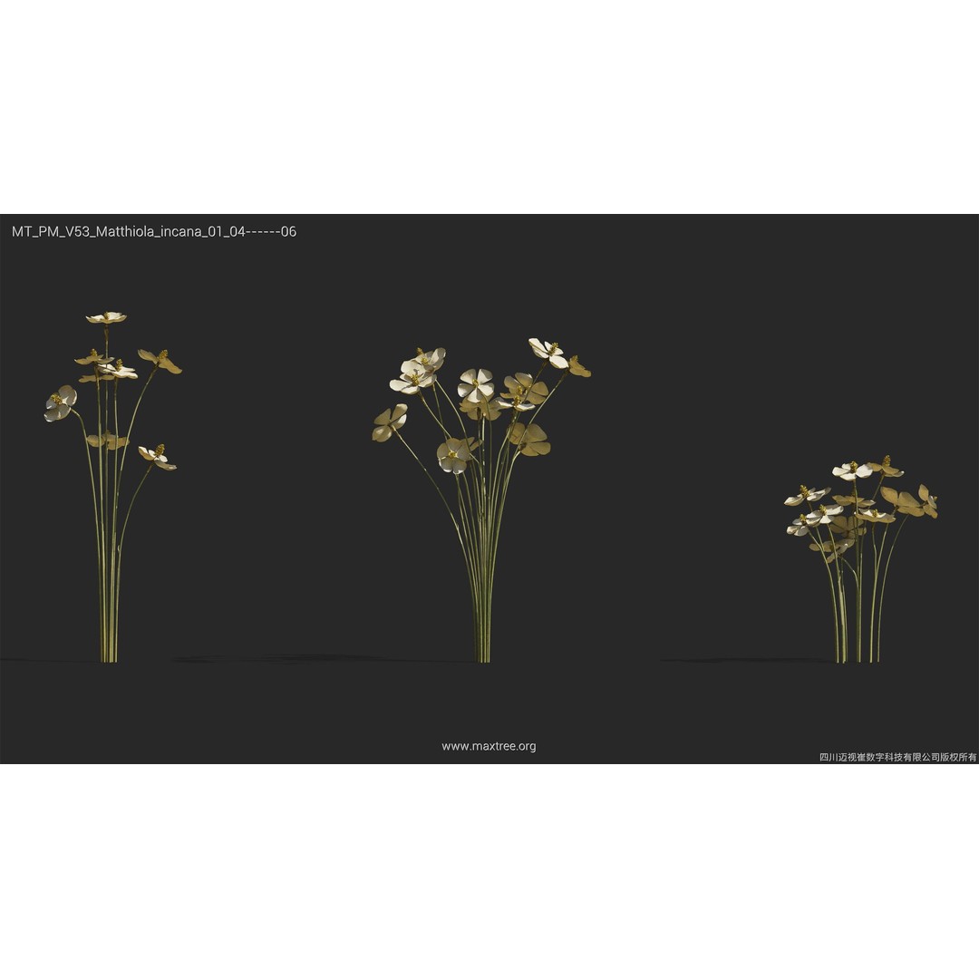 Dried Flower 3D Model – High Poly Collection, FBX, Blender, Max - View 33