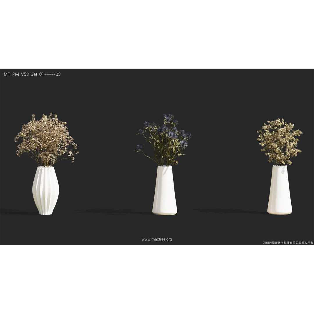 Dried Flower 3D Model – High Poly Collection, FBX, Blender, Max - View 38