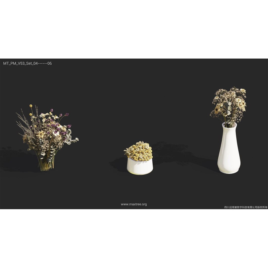 Dried Flower 3D Model – High Poly Collection, FBX, Blender, Max - View 39