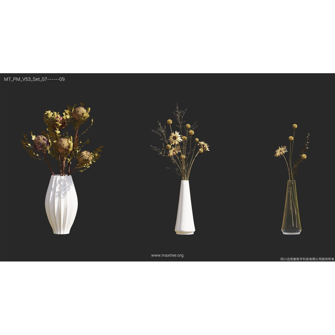 Dried Flower 3D Model – High Poly Collection, FBX, Blender, Max - View 40
