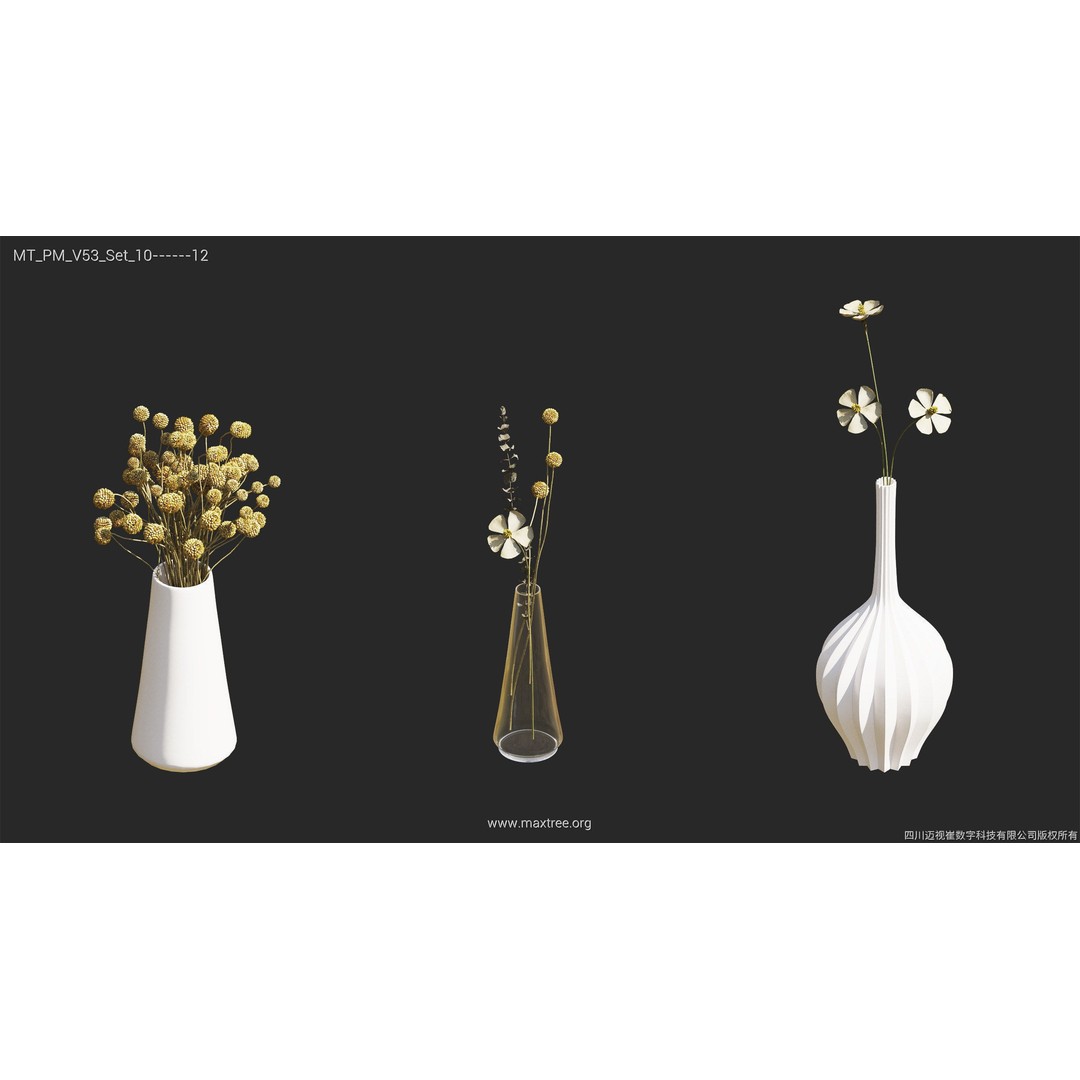 Dried Flower 3D Model – High Poly Collection, FBX, Blender, Max - View 41