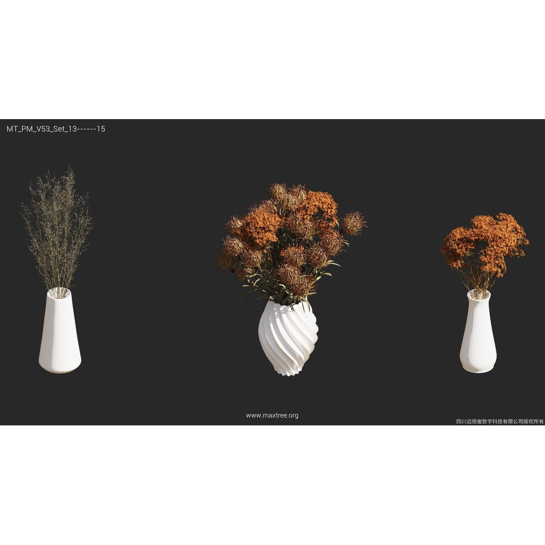 Dried Flower 3D Model – High Poly Collection, FBX, Blender, Max - View 42