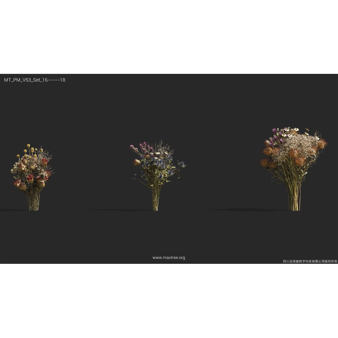 Dried Flower 3D Model – High Poly Collection, FBX, Blender, Max - View 43