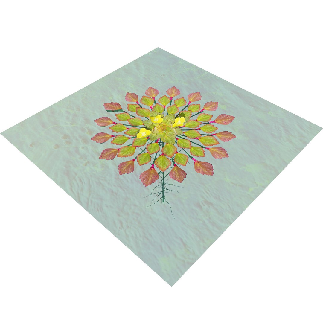 Mosaic Plant 3D Model – Low Poly Aquatic Asset, PBR Textures - View 11