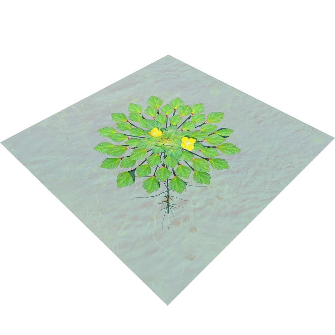 Mosaic Plant 3D Model – Low Poly Aquatic Asset, PBR Textures - View 12