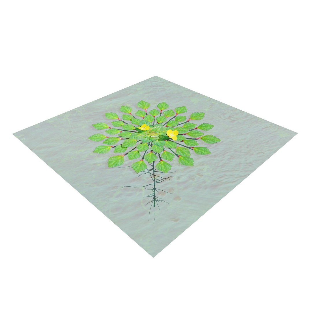 Mosaic Plant 3D Model – Low Poly Aquatic Asset, PBR Textures - View 6