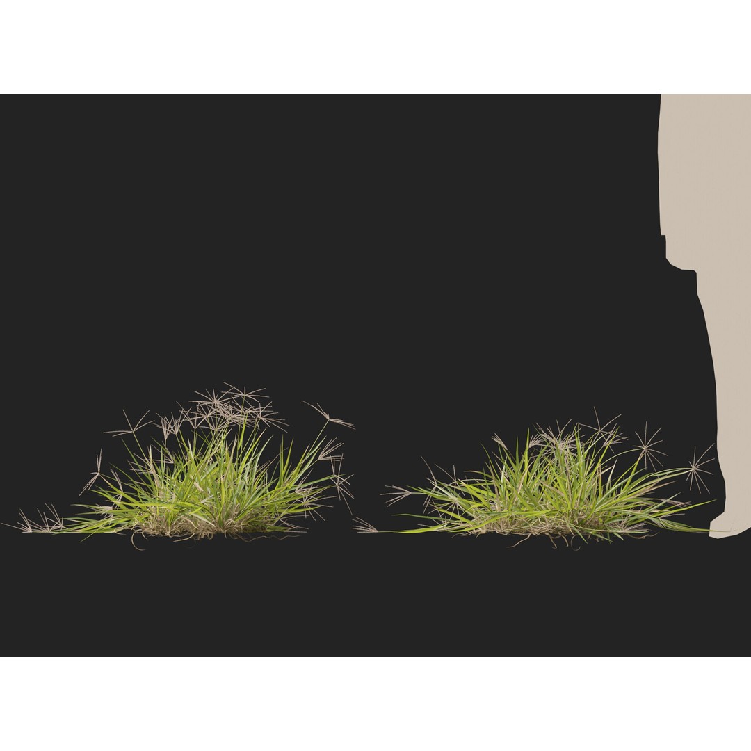 Spider Grass 3D Model – Low Poly Plant Asset, FBX, PBR Textures