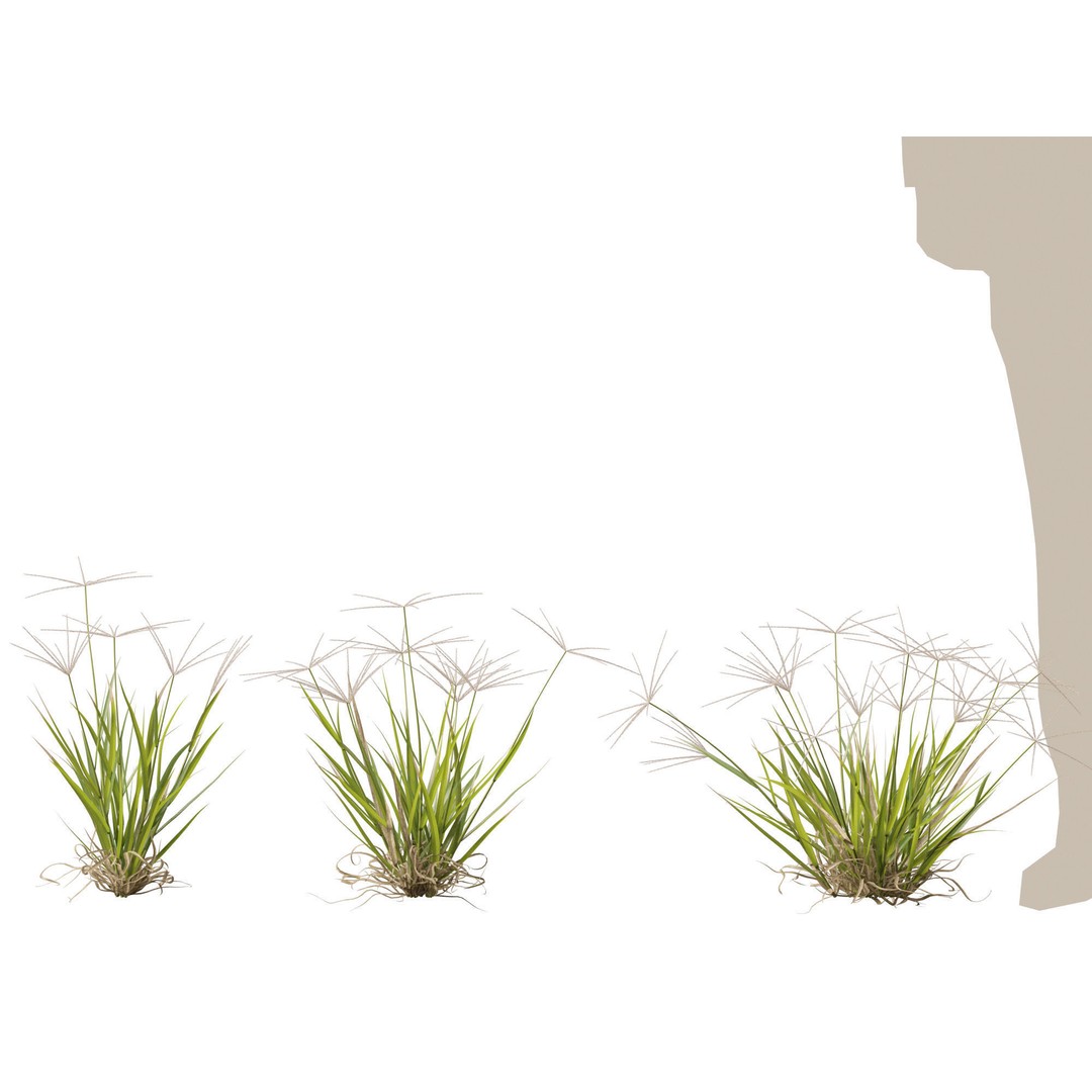 Spider Grass 3D Model – Low Poly Plant Asset, FBX, PBR Textures - View 10