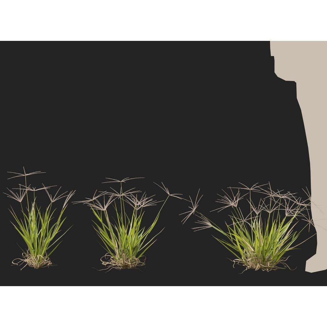 Spider Grass 3D Model – Low Poly Plant Asset, FBX, PBR Textures - View 11