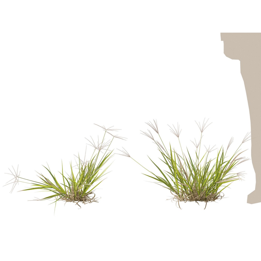 Spider Grass 3D Model – Low Poly Plant Asset, FBX, PBR Textures - View 12