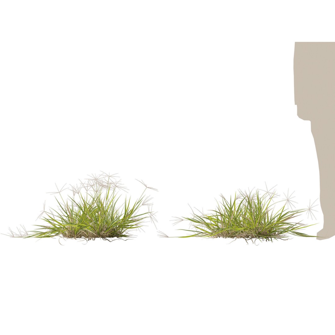 Spider Grass 3D Model – Low Poly Plant Asset, FBX, PBR Textures - View 14