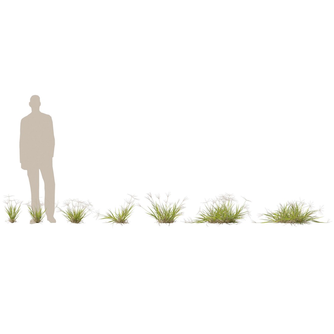 Spider Grass 3D Model – Low Poly Plant Asset, FBX, PBR Textures - View 3