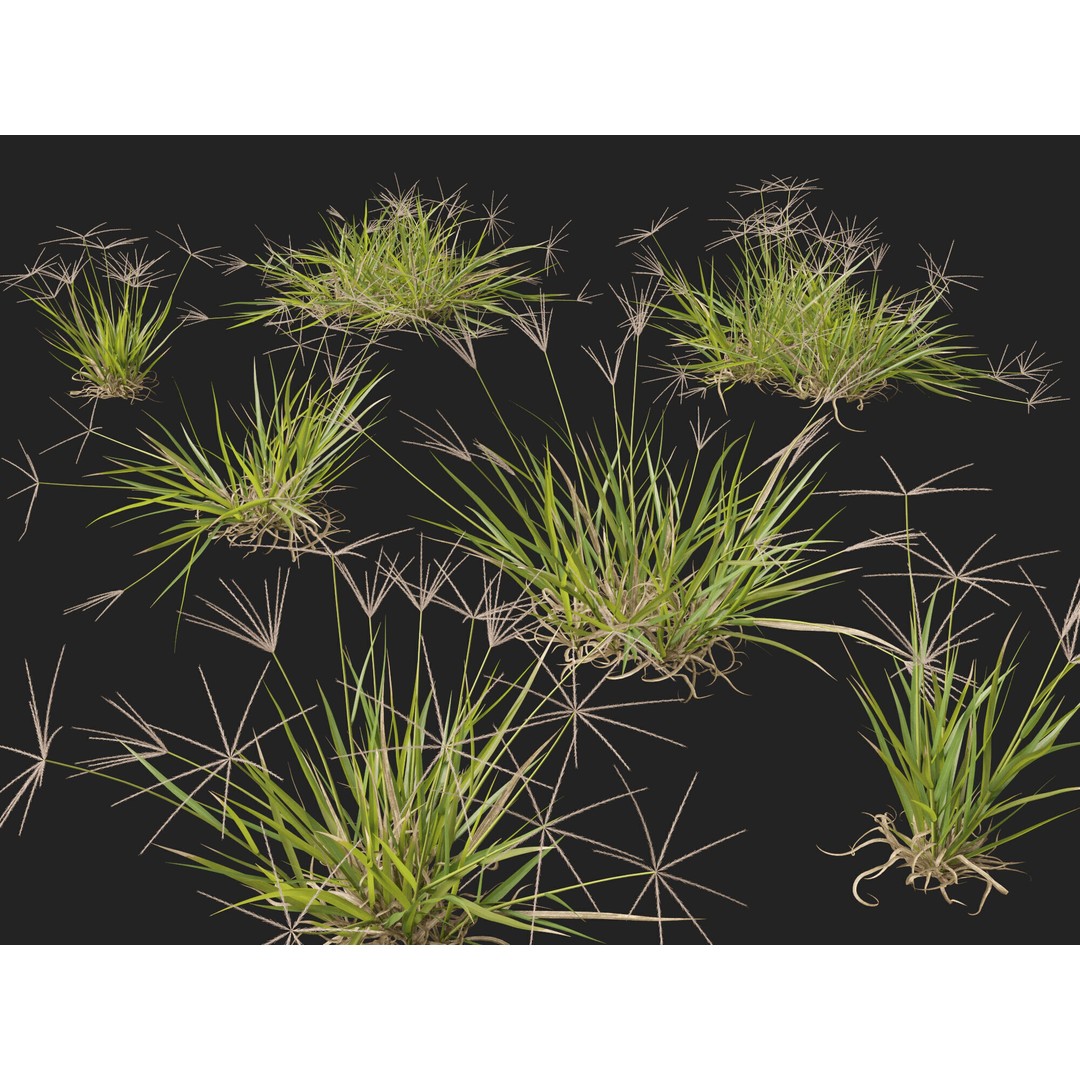 Spider Grass 3D Model – Low Poly Plant Asset, FBX, PBR Textures - View 4