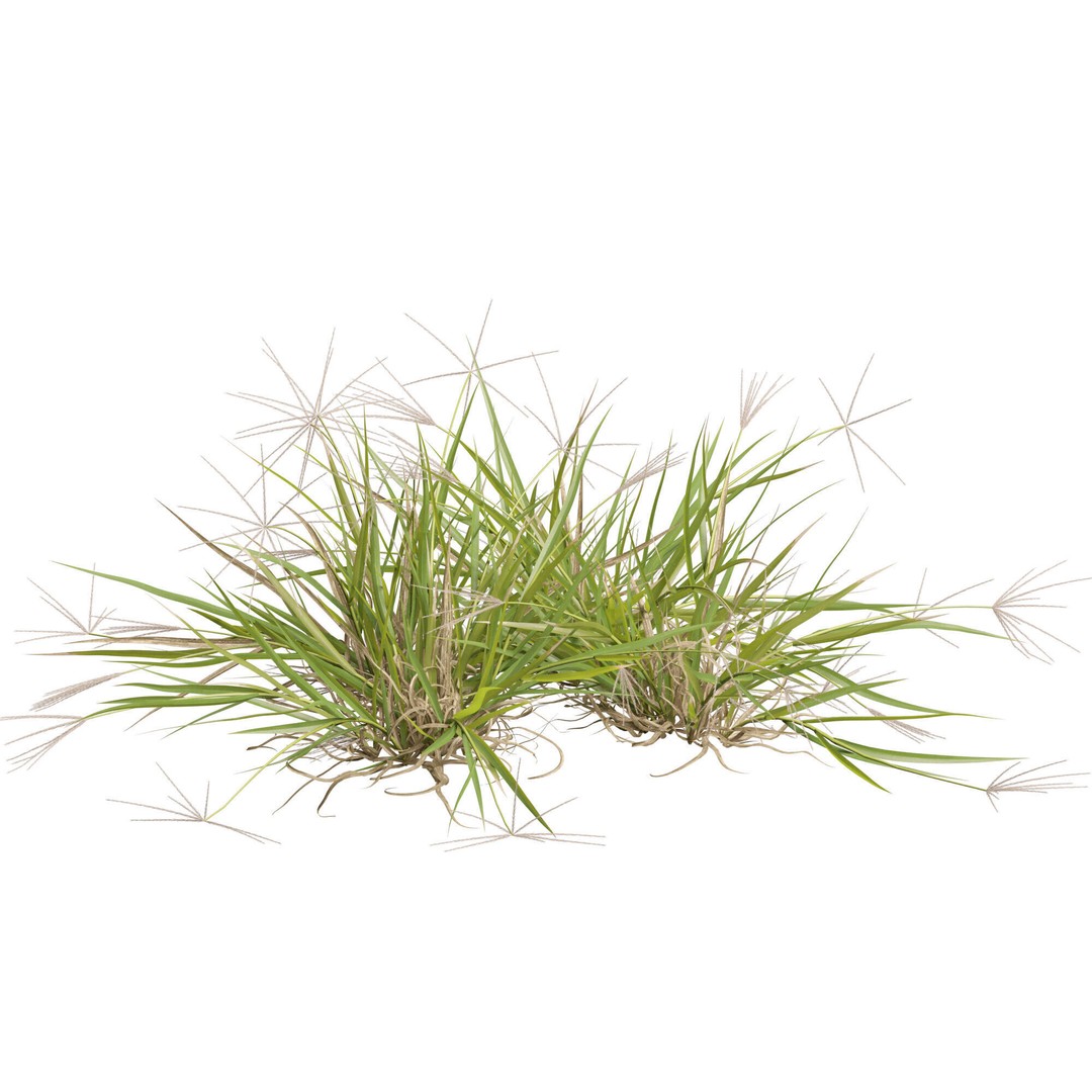 Spider Grass 3D Model – Low Poly Plant Asset, FBX, PBR Textures - View 7