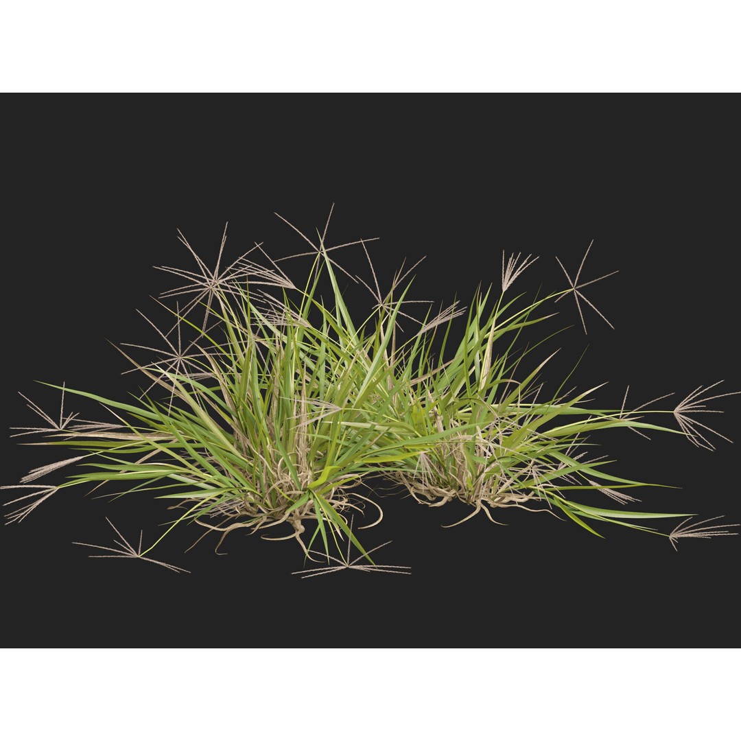 Spider Grass 3D Model – Low Poly Plant Asset, FBX, PBR Textures - View 8