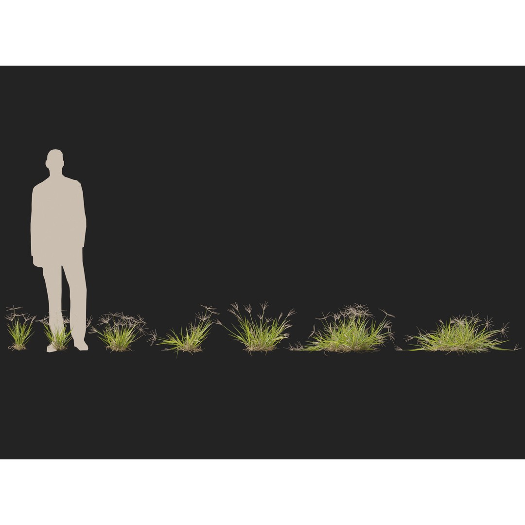 Spider Grass 3D Model – Low Poly Plant Asset, FBX, PBR Textures - View 9