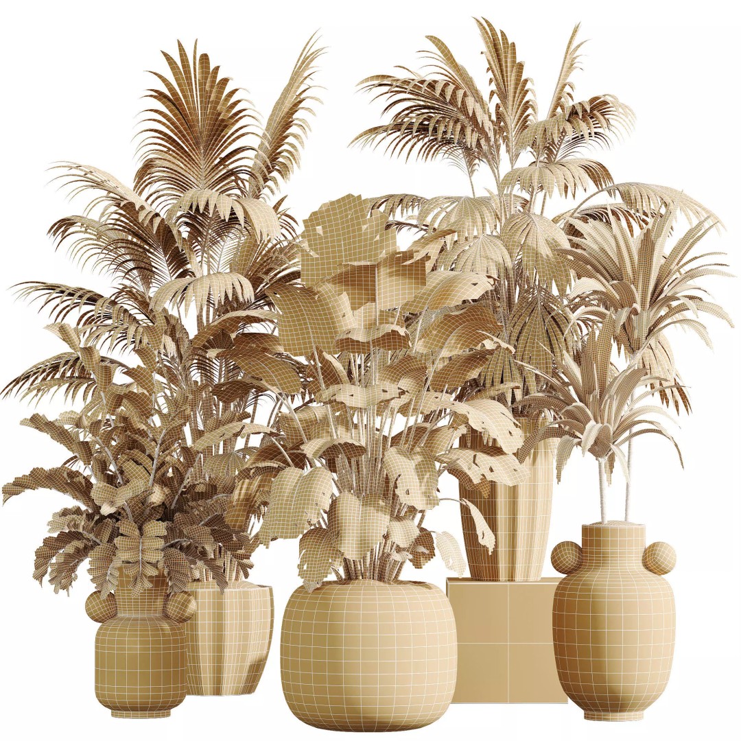 Indoor Plants 3D Model – Tropical Collection with PBR Textures, FBX, OBJ