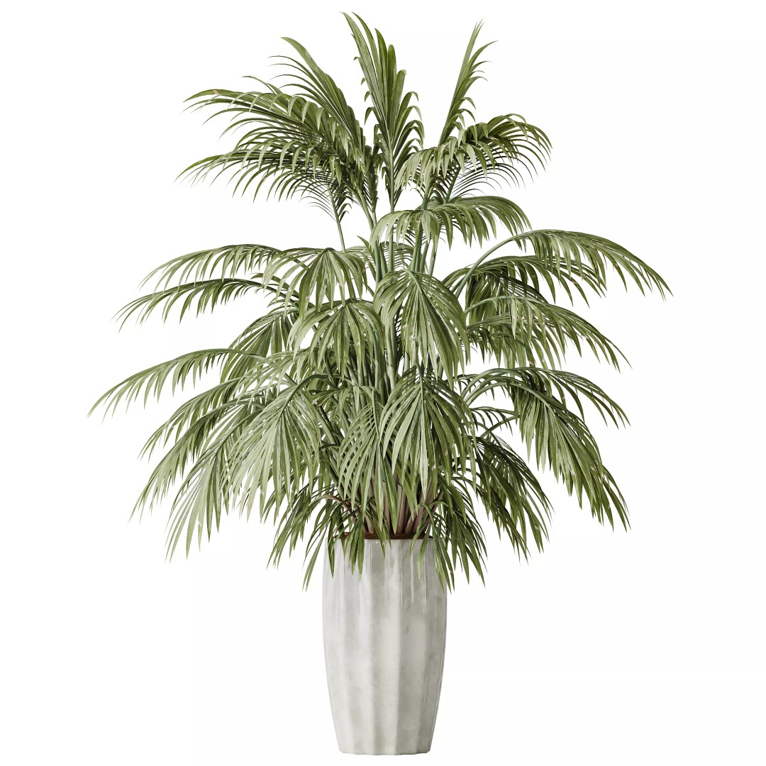 Indoor Plants 3D Model – Tropical Collection with PBR Textures, FBX, OBJ - View 10
