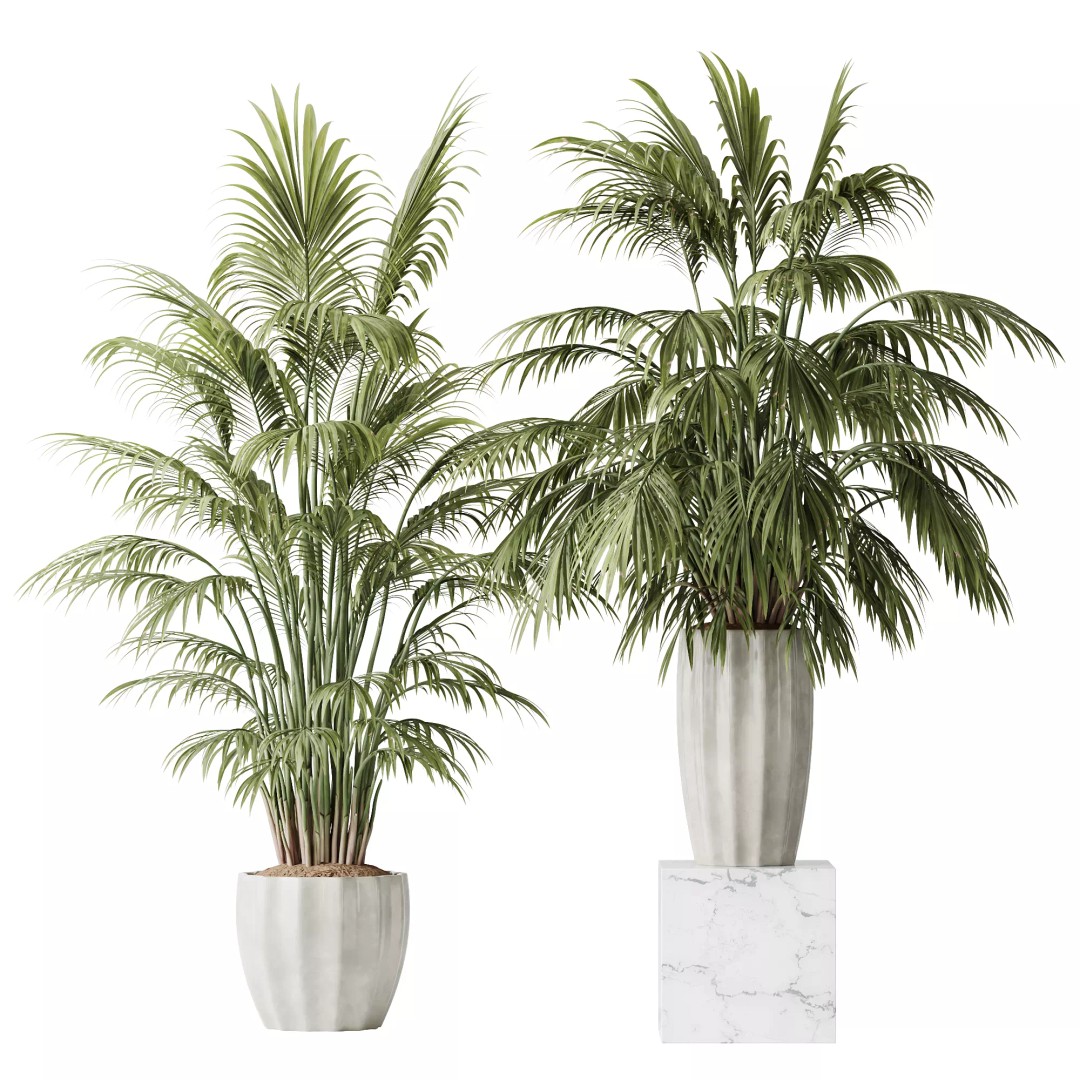 Indoor Plants 3D Model – Tropical Collection with PBR Textures, FBX, OBJ - View 11