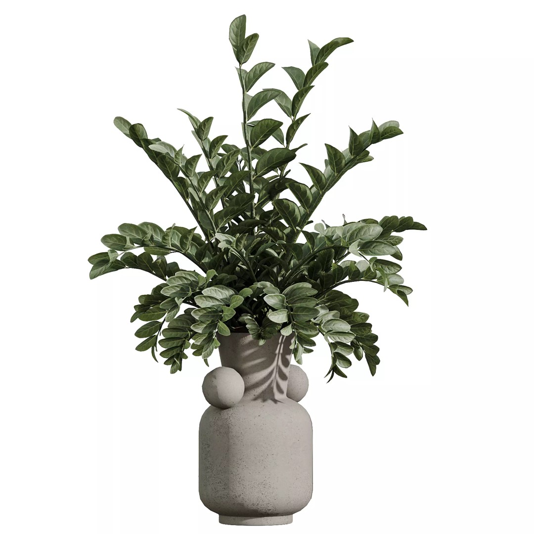 Indoor Plants 3D Model – Tropical Collection with PBR Textures, FBX, OBJ - View 12