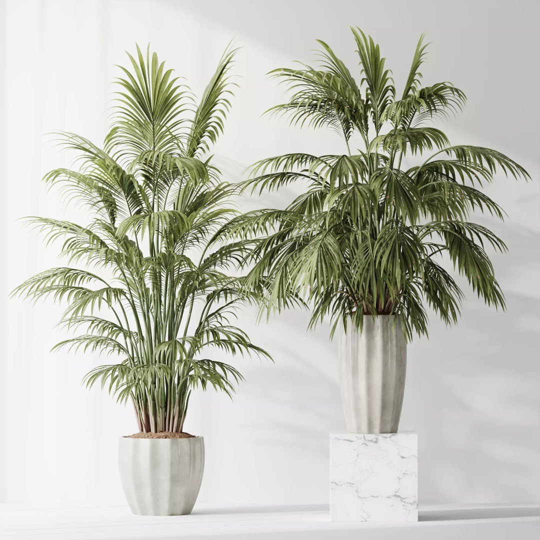 Indoor Plants 3D Model – Tropical Collection with PBR Textures, FBX, OBJ - View 13