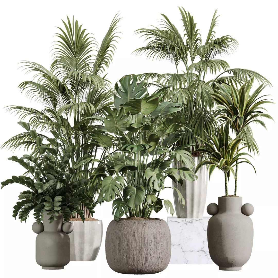 Indoor Plants 3D Model – Tropical Collection with PBR Textures, FBX, OBJ - View 14