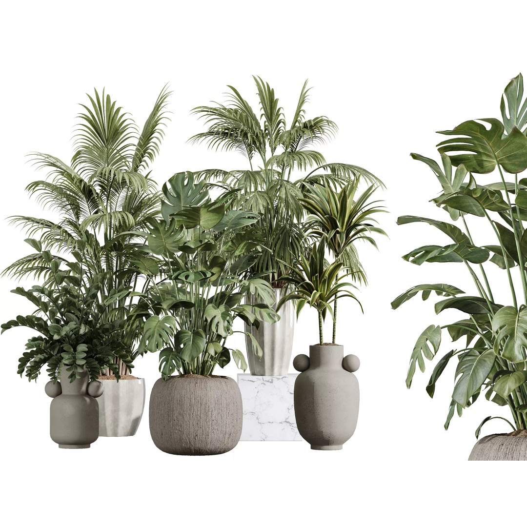 Indoor Plants 3D Model – Tropical Collection with PBR Textures, FBX, OBJ - View 2