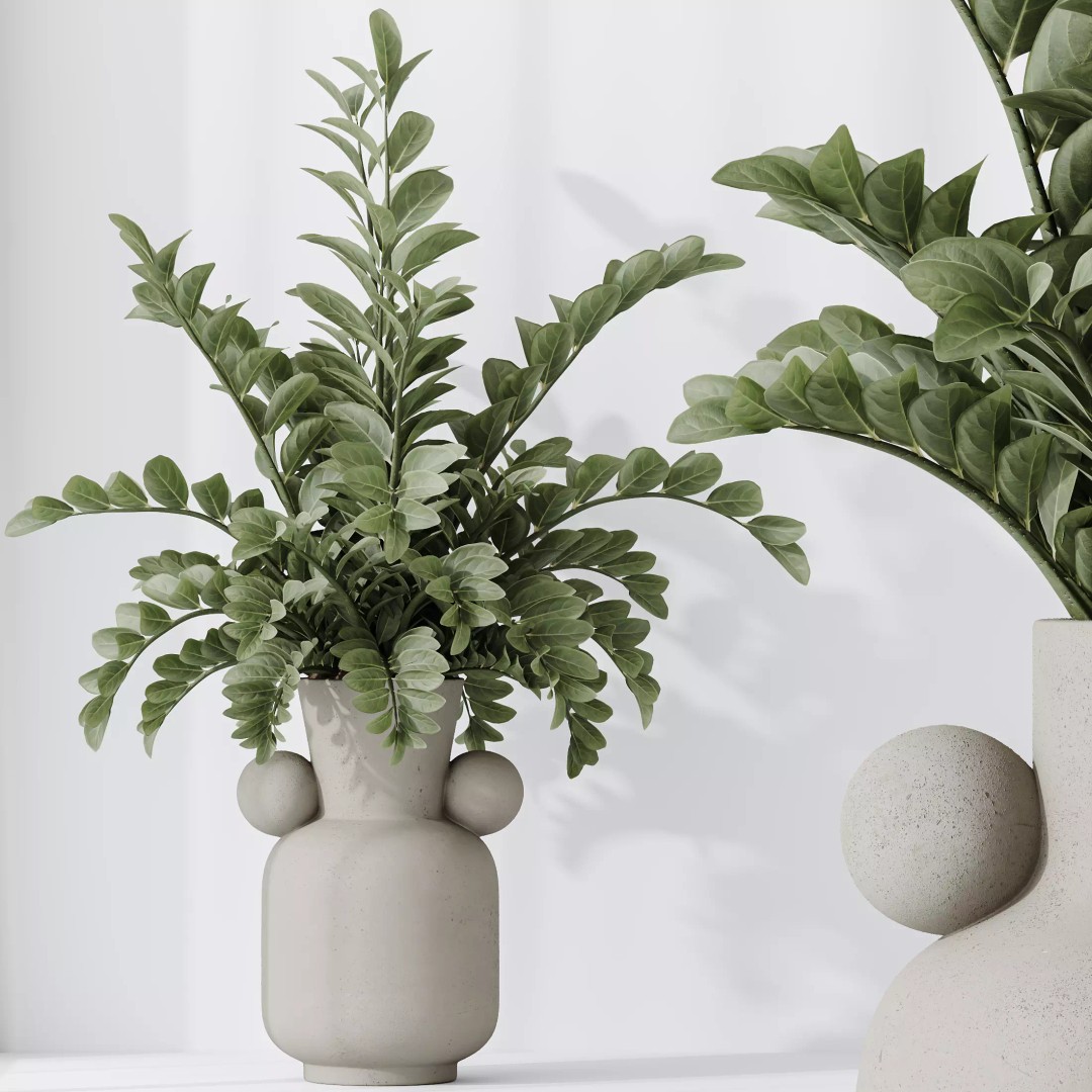 Indoor Plants 3D Model – Tropical Collection with PBR Textures, FBX, OBJ - View 3