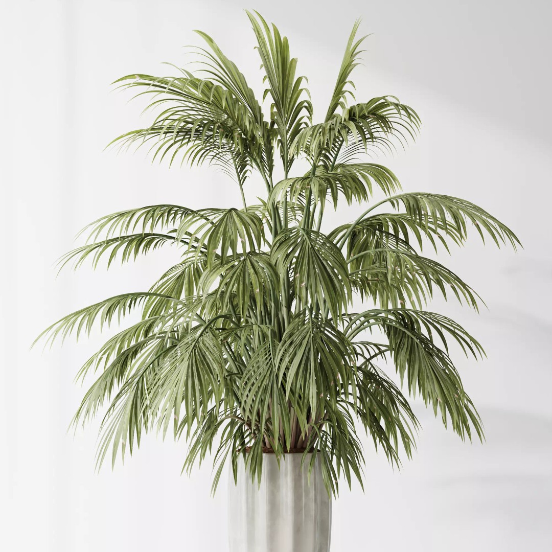 Indoor Plants 3D Model – Tropical Collection with PBR Textures, FBX, OBJ - View 4