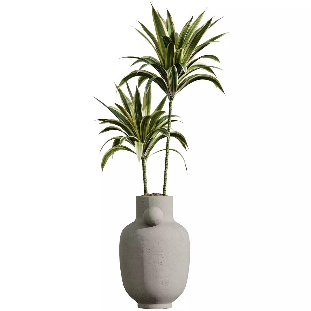 Indoor Plants 3D Model – Tropical Collection with PBR Textures, FBX, OBJ - View 6