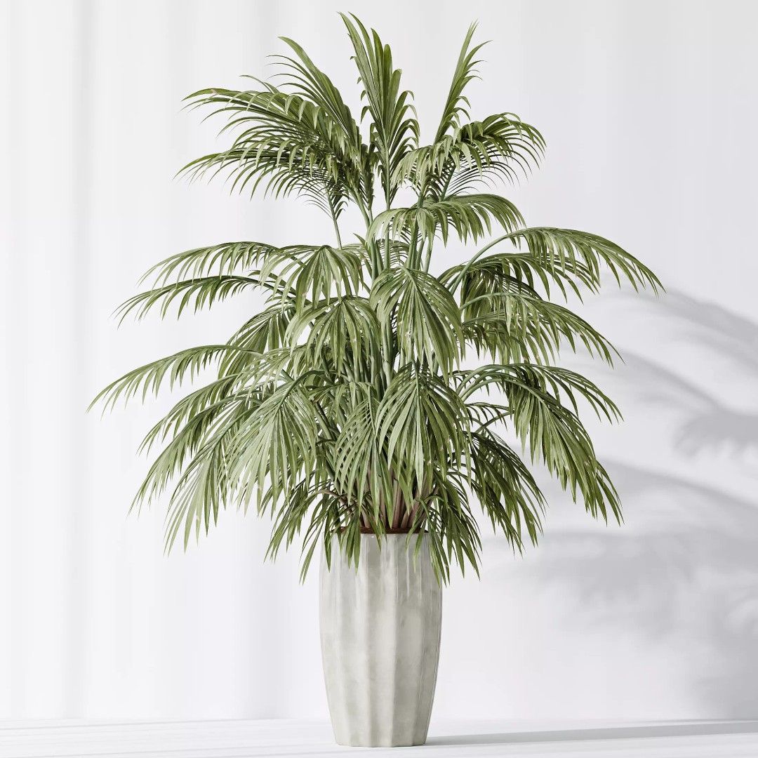 Indoor Plants 3D Model – Tropical Collection with PBR Textures, FBX, OBJ - View 8