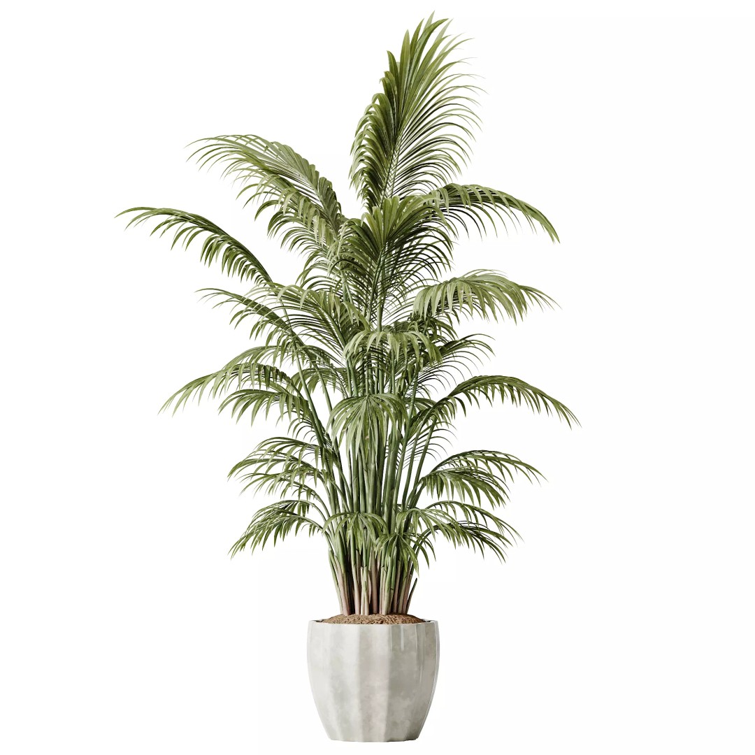 Indoor Plants 3D Model – Tropical Collection with PBR Textures, FBX, OBJ - View 9