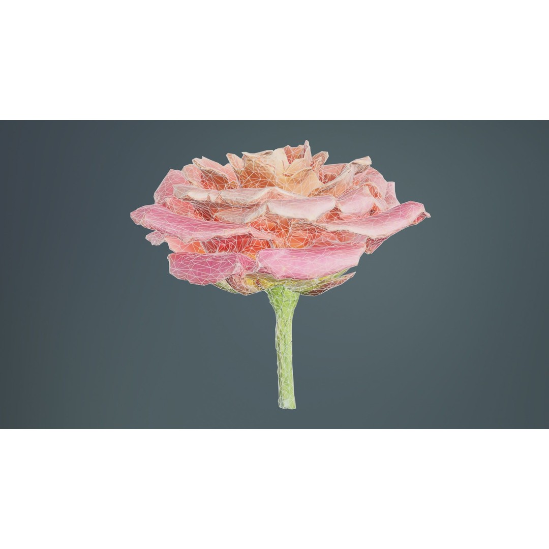 Close Up Bengal Rose 3D Model – Low Poly Game Asset, FBX, PBR - View 12