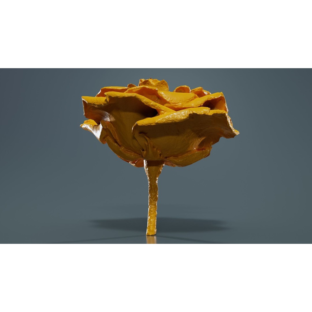 Close Up Bengal Rose 3D Model – Low Poly Game Asset, FBX, PBR - View 14