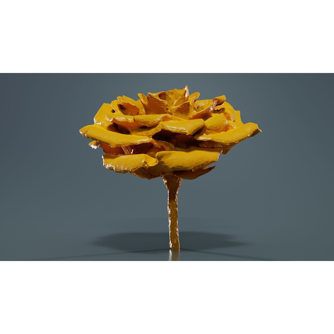 Close Up Bengal Rose 3D Model – Low Poly Game Asset, FBX, PBR - View 15