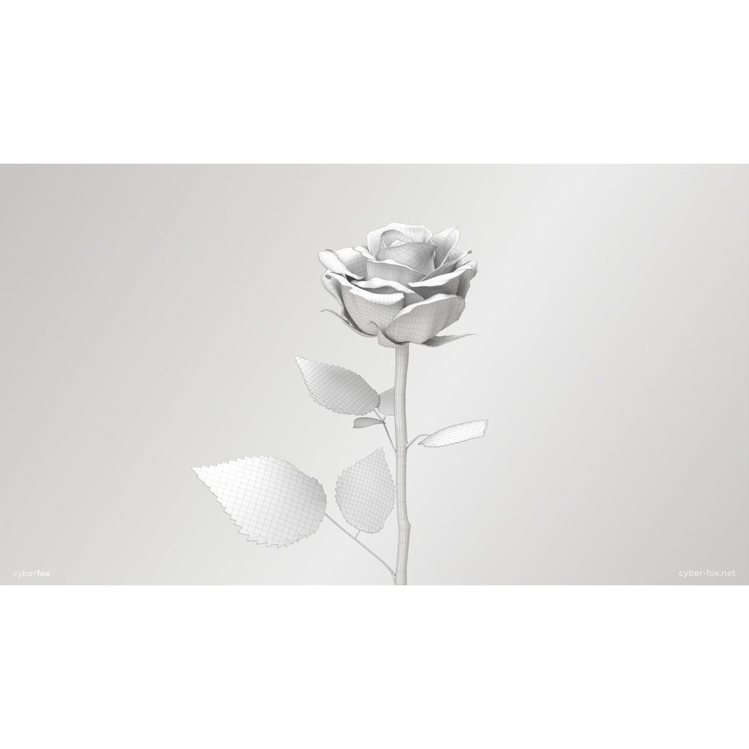 Single Pink Rose 3D Model – Low Poly PBR Asset for Games, FBX, OBJ - View 12