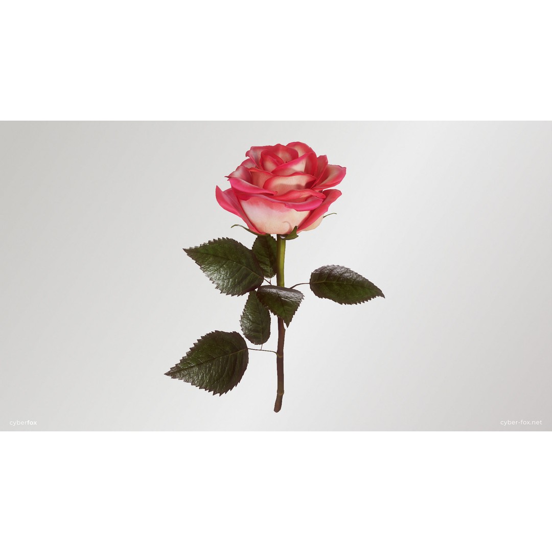 Single Pink Rose 3D Model – Low Poly PBR Asset for Games, FBX, OBJ - View 5
