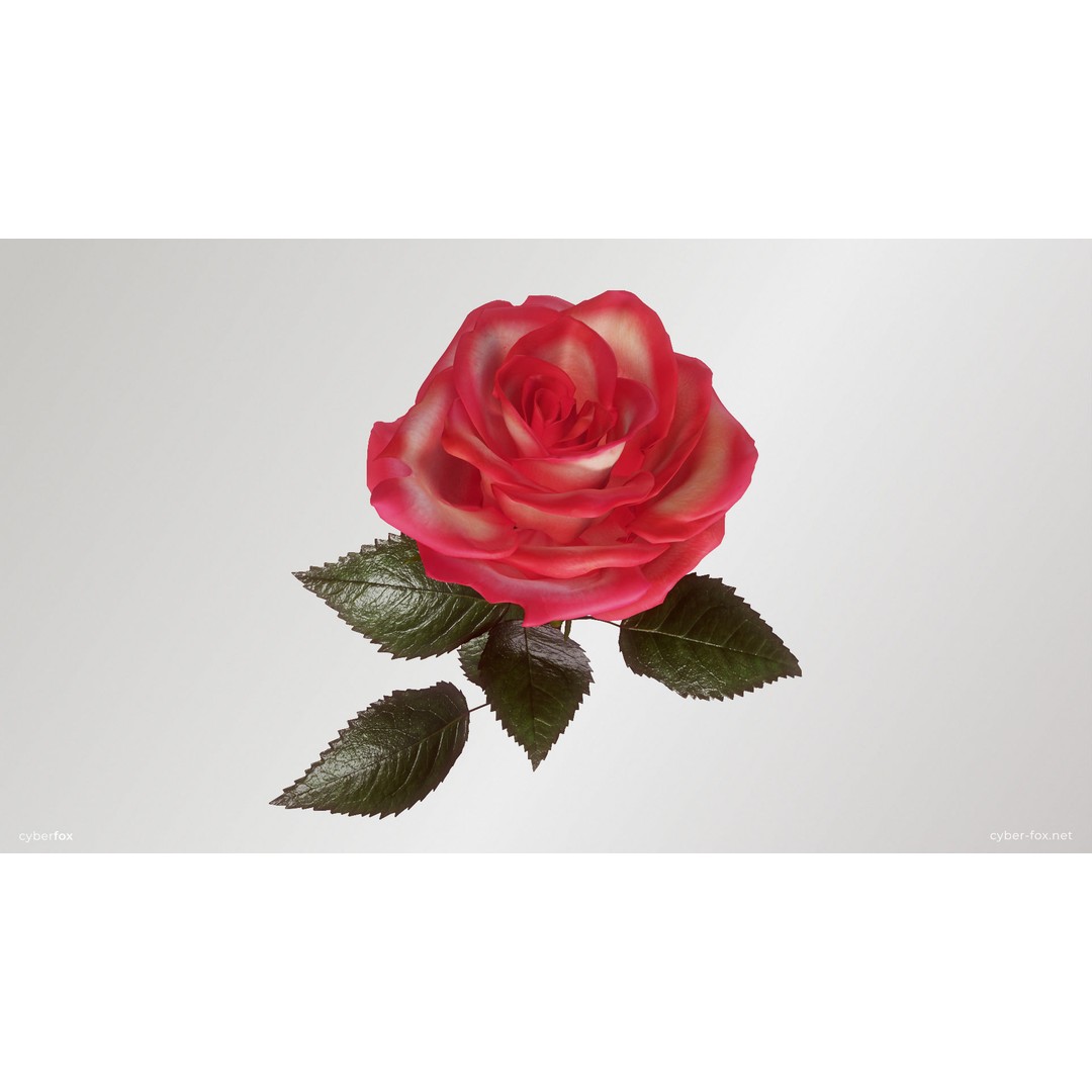 Single Pink Rose 3D Model – Low Poly PBR Asset for Games, FBX, OBJ - View 7