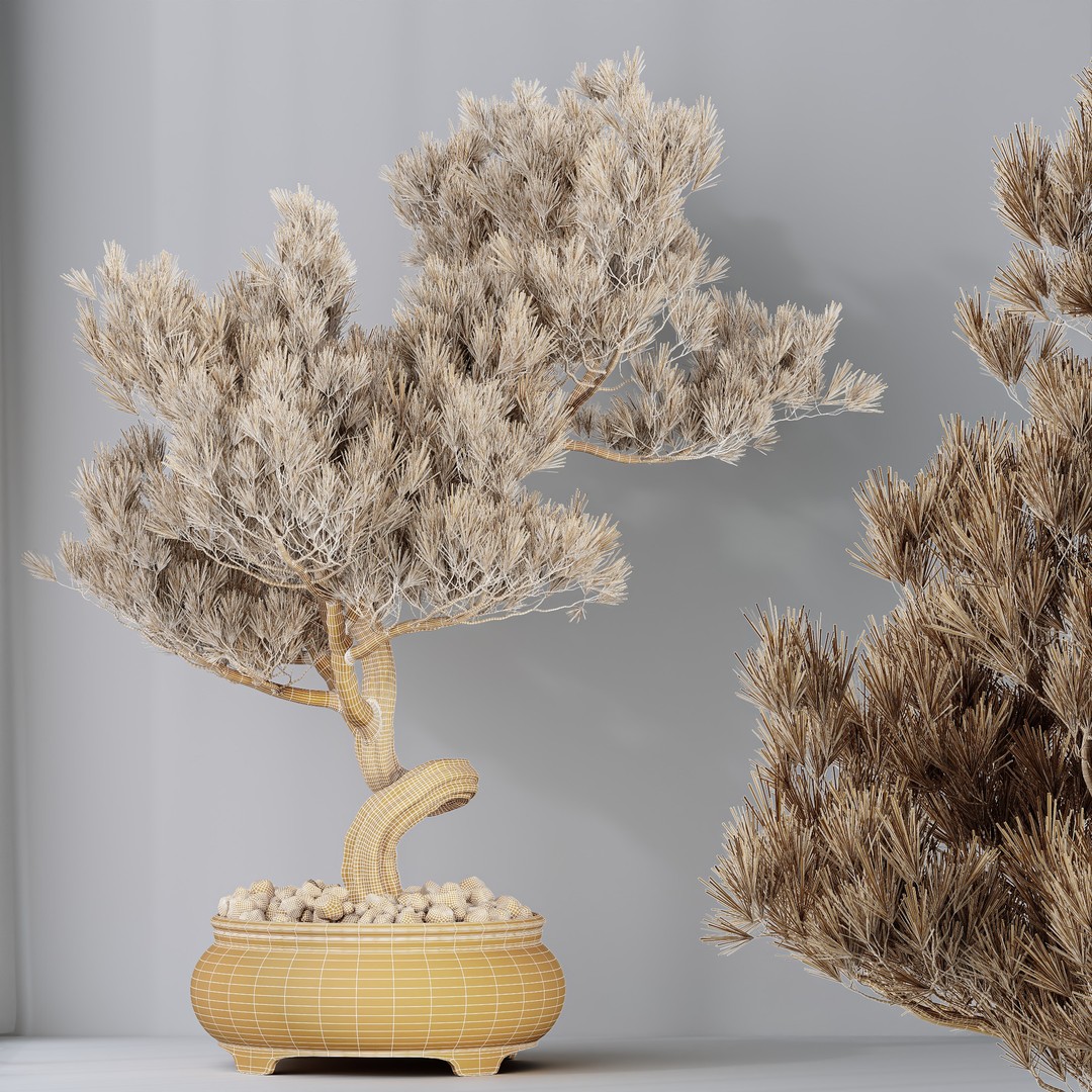 Bonsai Pinus Pentaphylla 3D Model – High Poly Indoor Plant, FBX & OBJ - View 10