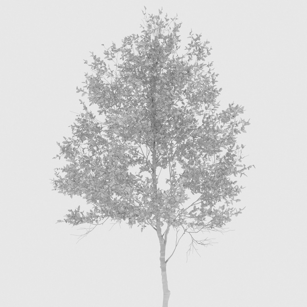 Autumn Forest Trees 3D Model – High Poly Nature Asset, FBX, OBJ