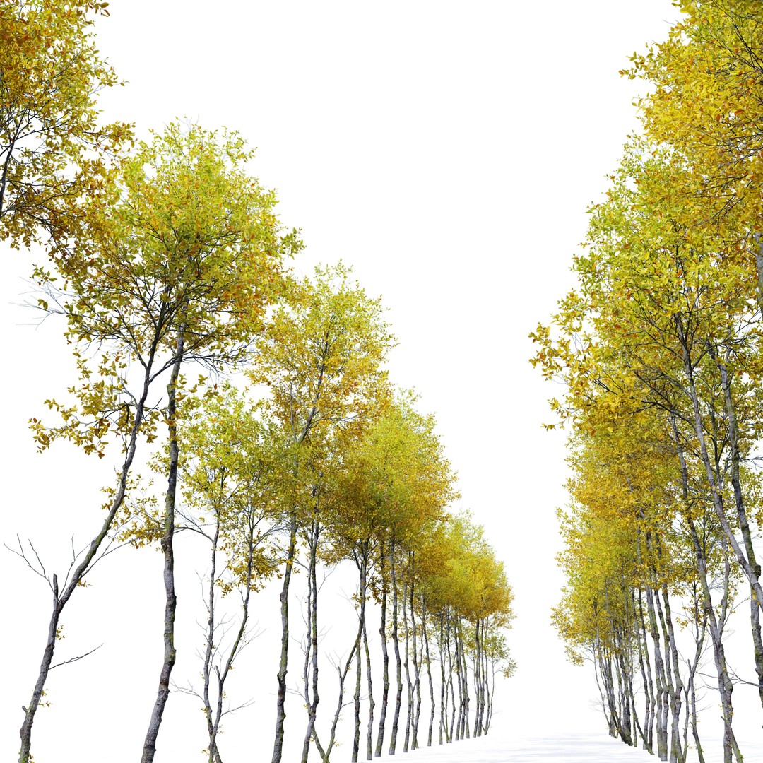 Autumn Forest Trees 3D Model – High Poly Nature Asset, FBX, OBJ - View 4