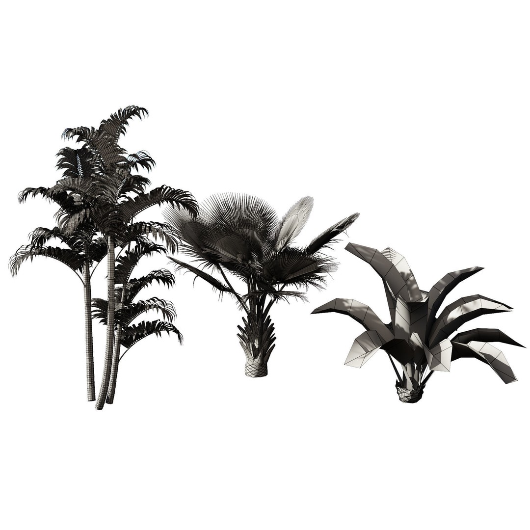 Garden Plants Collection 3D Model – High Poly PBR Assets, FBX, OBJ
