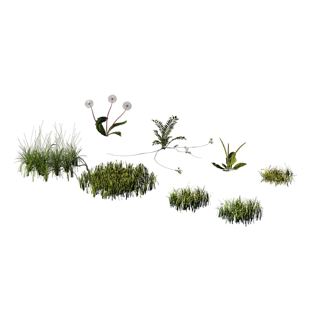 Garden Plants Collection 3D Model – High Poly PBR Assets, FBX, OBJ - View 5