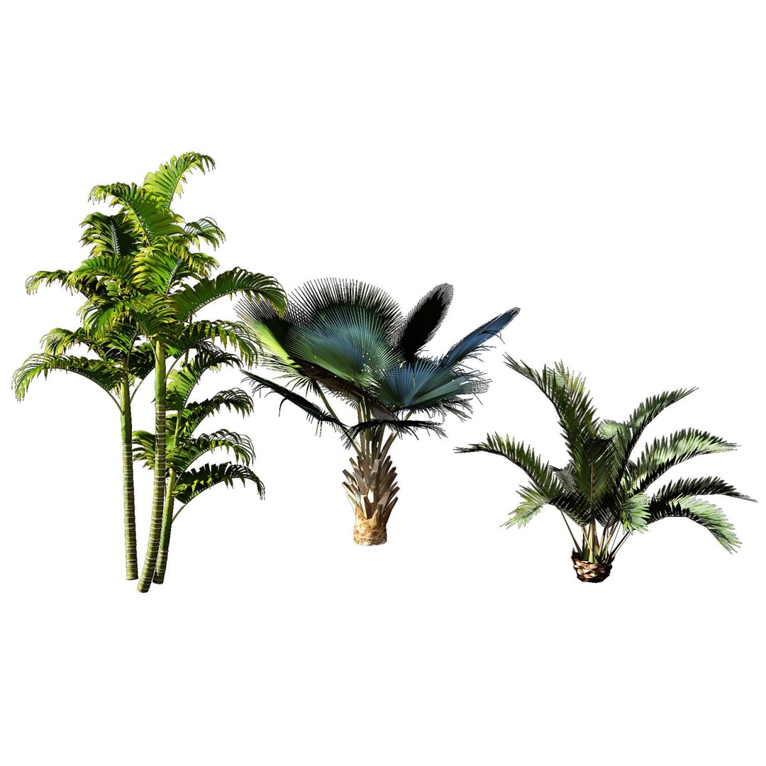 Garden Plants Collection 3D Model – High Poly PBR Assets, FBX, OBJ - View 7