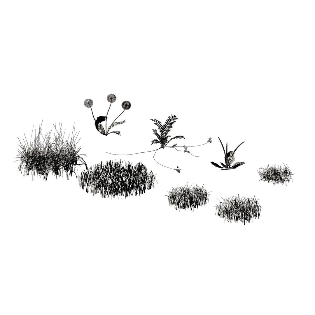 Garden Plants Collection 3D Model – High Poly PBR Assets, FBX, OBJ - View 8