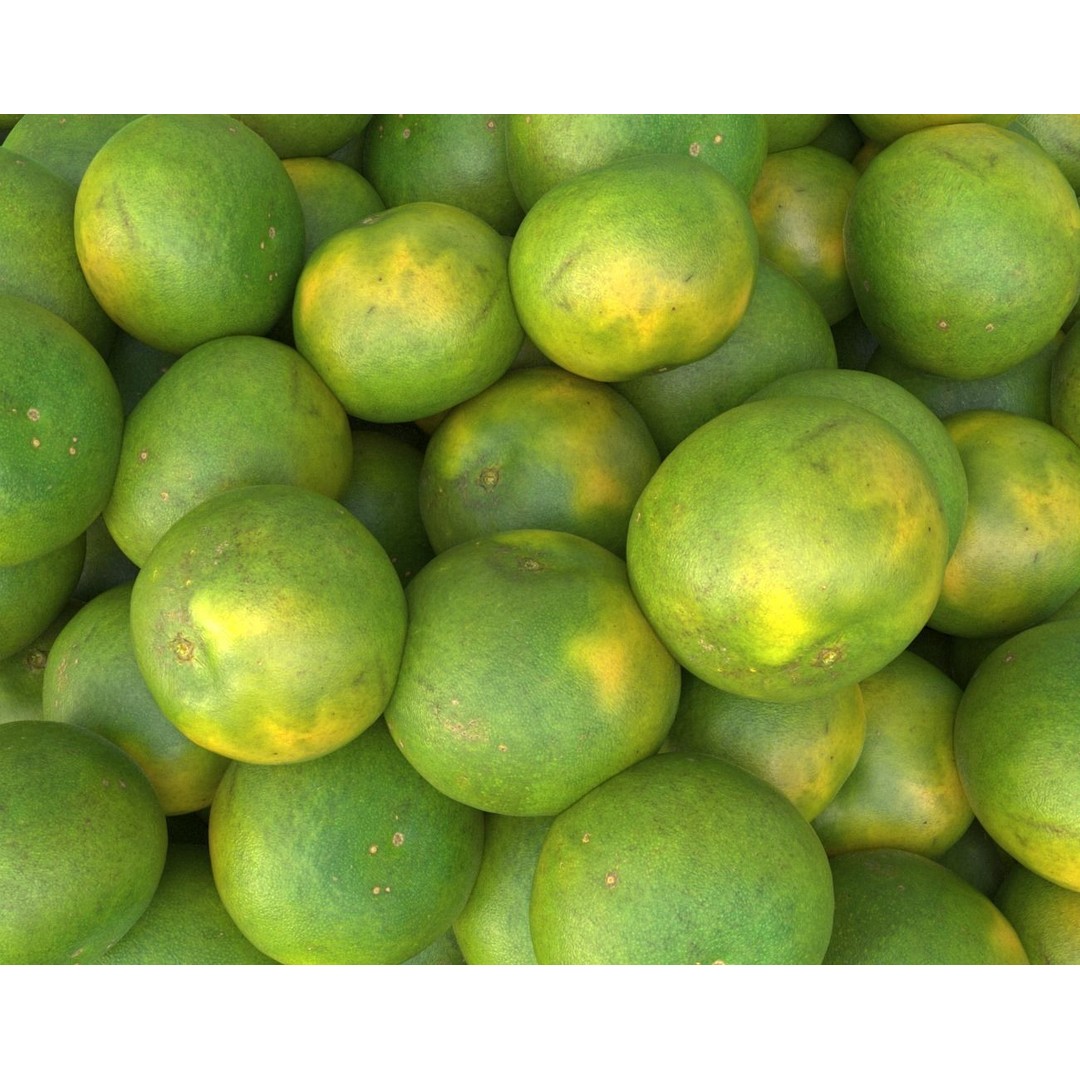 Sweet Lemon 3D Model – Low Poly Photogrammetry Asset, FBX, OBJ - View 12